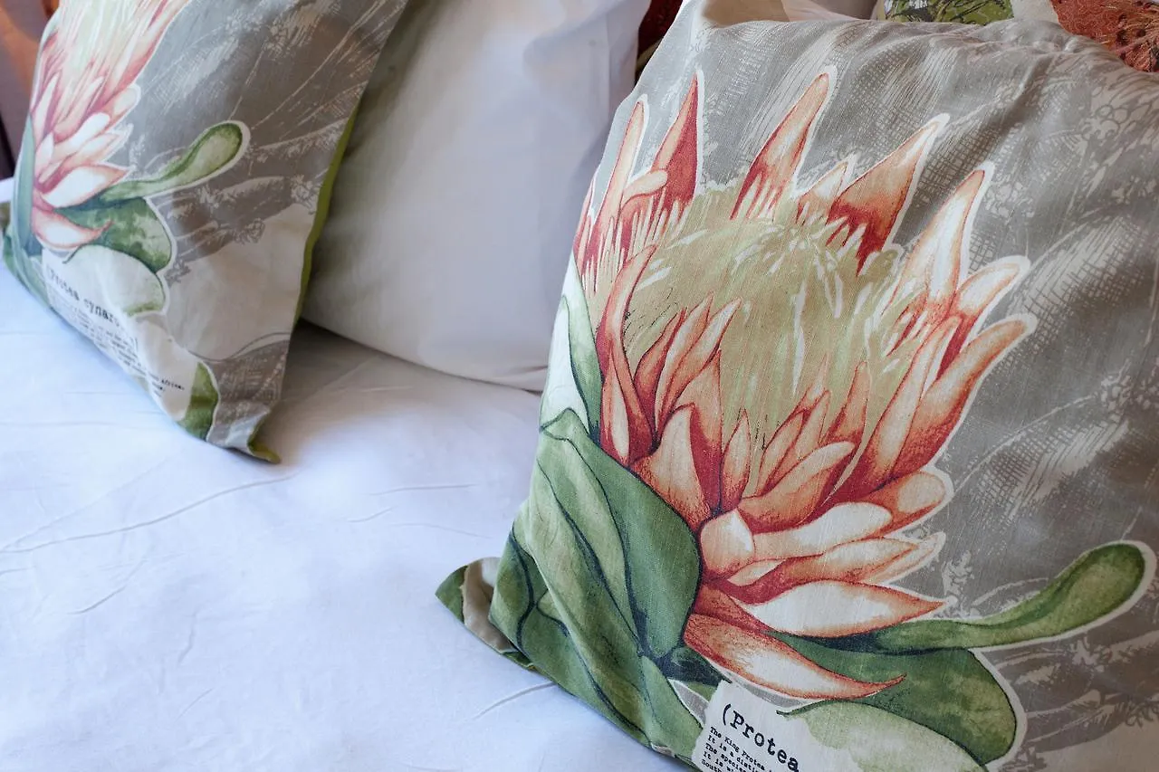 Harbour Terrace 48 By Ctha Daire Cape Town